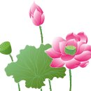 계림사 Daum카페