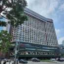 마니스테이 | 더플라자 가을 숙박 후기 - 덕수궁, 라운지조식, 칵테일아워, 피트니스센터