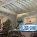 땡큐베리(Thankyou berry) 이미지