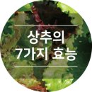 야채는 천연살균제다. 이미지