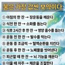 귀티나 - 동래구 | 귀티나