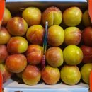 오늘 과일 이미지