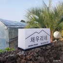 채우리 네이버블로그