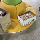 샌드풀