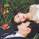 착한셀프 이미지
