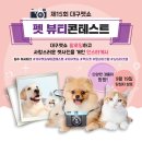 뷰티펫# 이미지