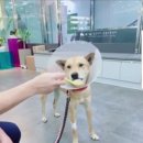 세진동물병원 이미지