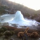 용인나무이야기 이미지