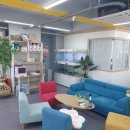 고양이분양 반하나캣 이미지