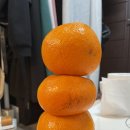 미림여관 이미지