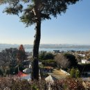 애견카페 이미지