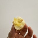 필승목장 이미지