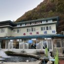 천동송어양식장횟집 | [천동송어양식장횟집]충북 단양, 송어양식장 운영하는 송어회 맛집