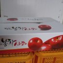 산위에 사과