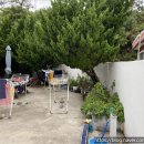 인더블루펜션 이미지