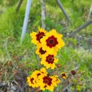 웰라이프 코칭 이미지