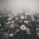 바다한채