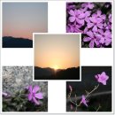 포도다방 이미지