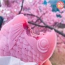 벚꽃붕어빵