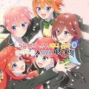 이태상프로젝트 신작 2025 <엉킴> | 5등분의 신부 춘하추동 OVA 신작 순서