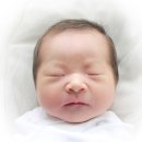 산호동011 이미지