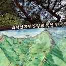 207 | 축령산자연휴양림 솔캠 후기 - 2구역 207