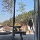 기찬자연휴양림 | [영암/기찬자연휴양림] 13개월 아기와 함께한 기찬자연휴양림 숲속의집(후기/숙소정보/가격)