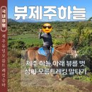나시리 | 제주 동쪽 승마체험 오름 말타기 뷰제주하늘