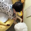 김쪼꼬미용실 이미지