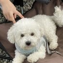 보물나라 이미지