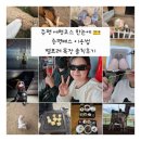 송원어린이집 | 증평 여행코스 한눈에🎫 증평패스 이용법·벨포레 목장 솔직후기