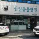 신정동물병원 이미지