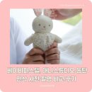 베이비파스텔, 애니스튜디오 동탄 만삭 사진 촬영 비교 후기