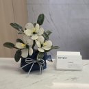 서울윌치과 이미지