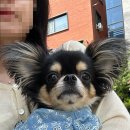 봄봄동물병원 이미지
