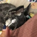 아로마크린 이미지