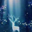 면역충전소 향라이