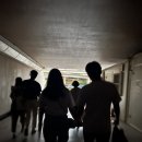 테헤란로115길(탄천길) 이미지