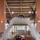 파스타지아니 이미지