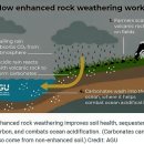 농업회사법인(주)동일농장 대소4지점 | 농부를 살리고 지구를 지키다 마티카본의 탄소 제거 혁신
