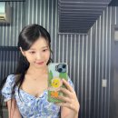 모음집 이미지