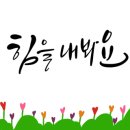 바다천국 이미지