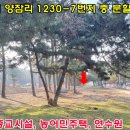 솔밭178 네이버블로그