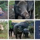 화남농장 이미지