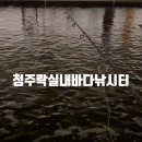 청주락실내바다낚시터