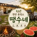 땡수네