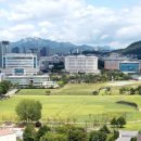 용산택지 네이버블로그