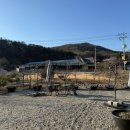 천비농장 | 비틀주스팜 포천가볼만한곳 포천도마뱀카페 파충류카페 아이와포천나들이 경기도아이와함께 이색카페 추천