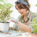 액트짐 신논현점 이미지