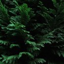 가이드 민박 이미지